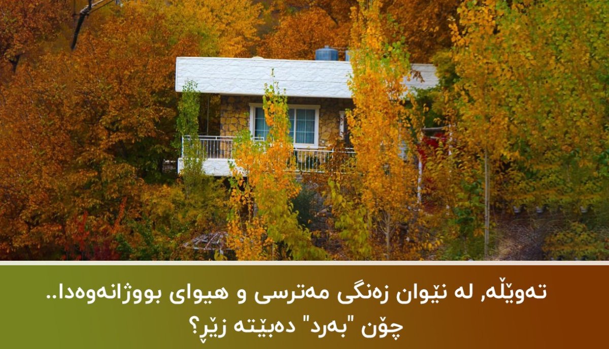تەوێڵە؛ لە نێوان زەنگی مەترسی و هیوای بووژانەوەدا چۆن "بەرد" دەبێتە زێڕ؟ وانەیەک لە تەلارسازیی هەورامانی دیوی ڕۆژهەڵاتەوە